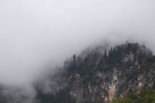 A mesmerizing shot of a mountain full of trees on a foggy day