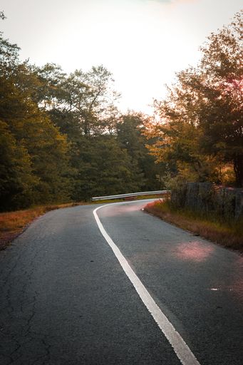 A vertical shot of a road surrounded by autumn forest