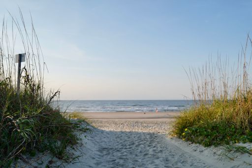 A sandy trail at the beach on a sunny day