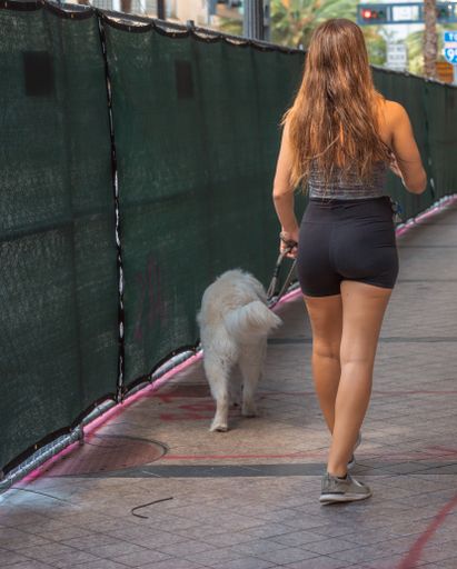Young woman in sportswear walking her cute white dog down the street, back view