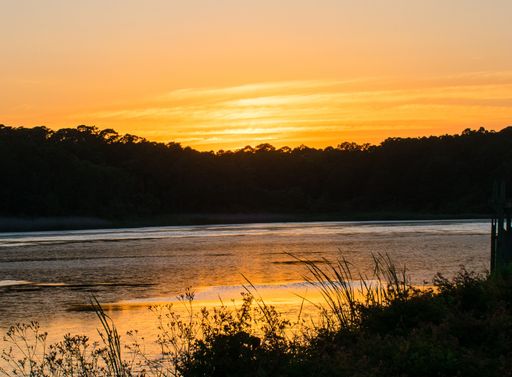 An aerial view of lake surrounded by dense trees during sunset
