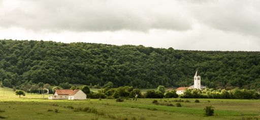The view of a field with village buildings in the distance against the background of green lush forest.