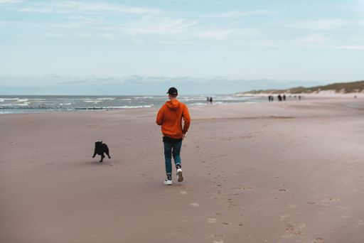 A beautiful shot of a man with his dog running on a beach