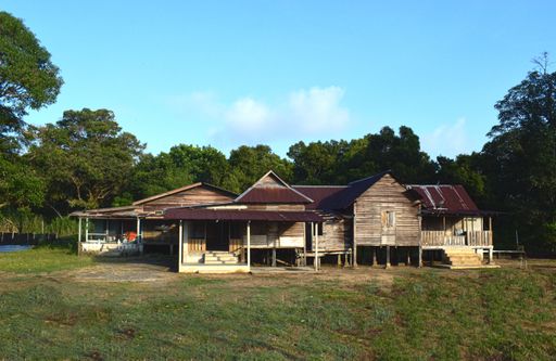 An old style wooden house in the middle of a forest