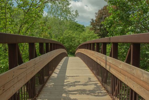 A wooden bridge surrounded by dense trees