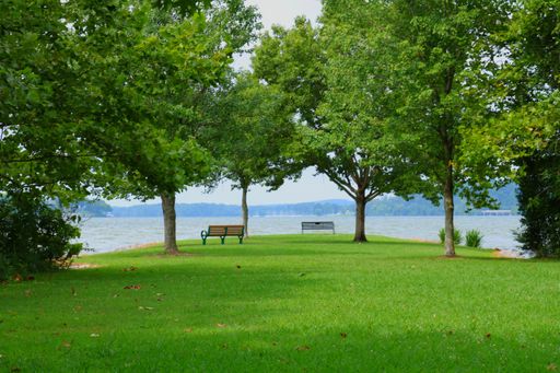 A scenic view of two benches under trees near an open body of water near Knoxville in Tennessee