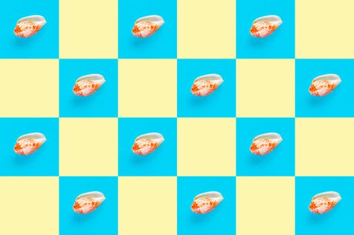 Flat Lay wallpaper background image of coastal seashells on a checkered blue background