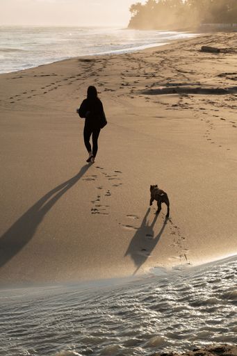 Bali lifestyle. Sporty caucasian woman with a puppy on the beach. On the way to yoga practice in Bali