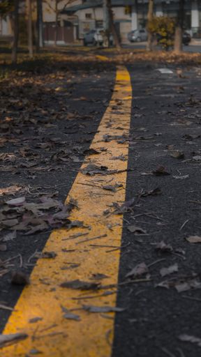 A vertical closeup shot of yellow road marking paint in street full of autumn fallen dry leaves