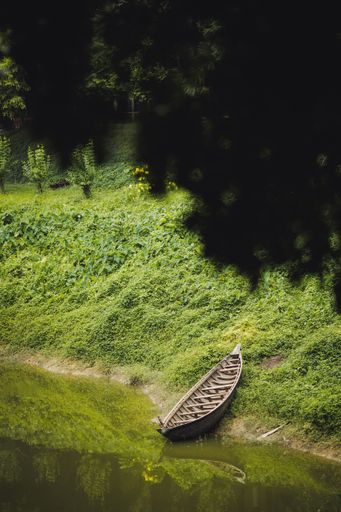 A vertical shot of a small boat on the river bank spotted from the bottom of a tree
