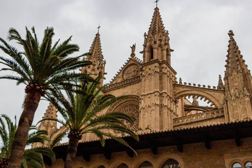 A low angle shot of the towers of the gothic style Palma Cathedral behind palm trees