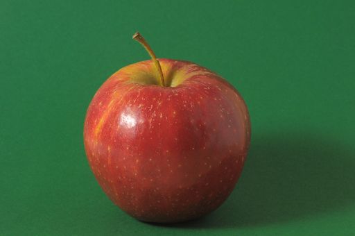 One Juicy Hot Red Apple over a Colored Background