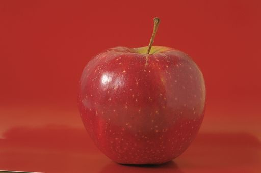 One Juicy Hot Red Apple over a Colored Background