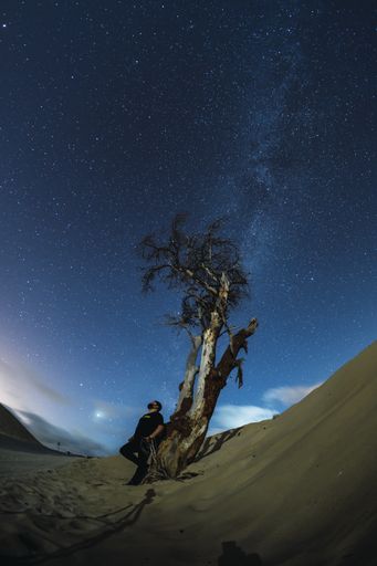 A vertical shot of a male under a dry tree in a sandy area under the night sky with the milky way at Valdevaqueros, Cadiz, Andalucia