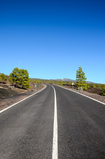 A vertical shot of an empty road surrounded by trees under the bright blue sky