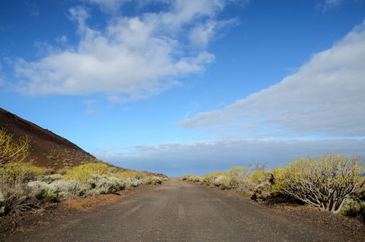 Long Straight Dirt Desert Road disappears into the Horizon.