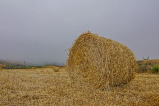 Hay Bale In The Foreground Of Rural Field