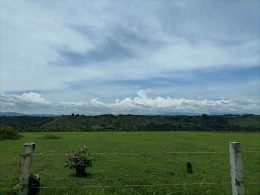 A relaxing view of a landscape in the countryside. Green scenery filled with grass, meadow, sky in the rural area of Philippines. Beautiful outdoor.