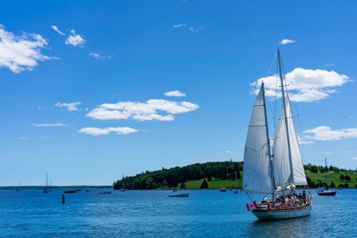 A view of the boat sailing on clear water by a rocky coast on a sunny day