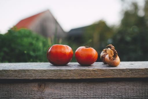 A closeup shot of two tomatoes and onions on a wooden wall with houses in the background