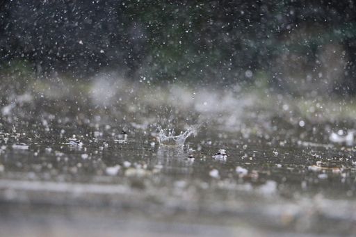 A closeup shot of raindrops falling on the ground and splashing