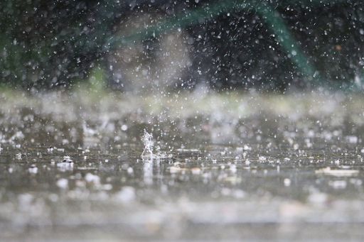 A closeup of waterdrops hitting the ground, outdoors during daylight