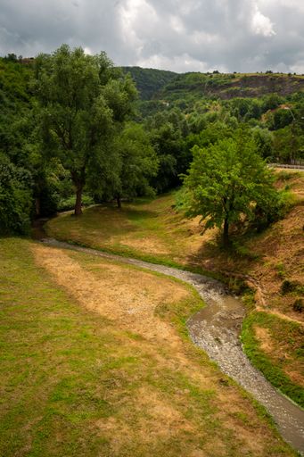 A vertical shot of a beautiful forest near the mountains