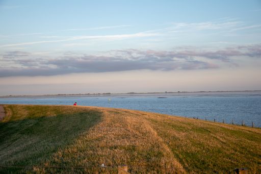 A beautiful shot of a small grass field near a beach during sunset