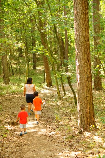 Woman and two young kids walking on a footpath in a forest.