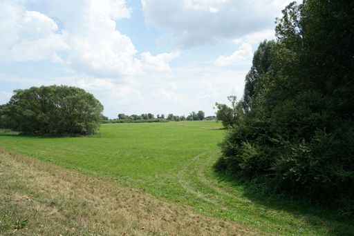 A view on an unpaved road in the field with a cloudy day background