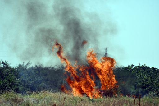 A closeup shot of a burning huge fire in the forest under a blue sky