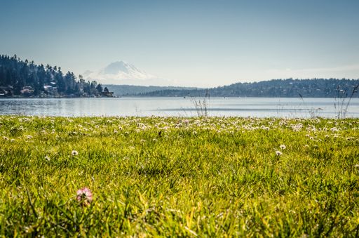 A beautiful shot of a grassy field with flowers near the sea with mountains and buildings in the background