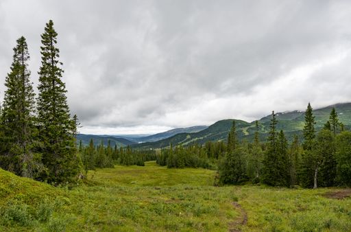 A scenic view of the Copperhill Mountain Lodge in Sweden on a cloudy day