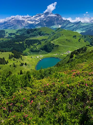 A vertical shot of a lake in the middle of a field with green mountains in the background