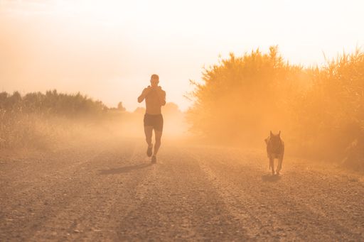 A sportsman training with his dog