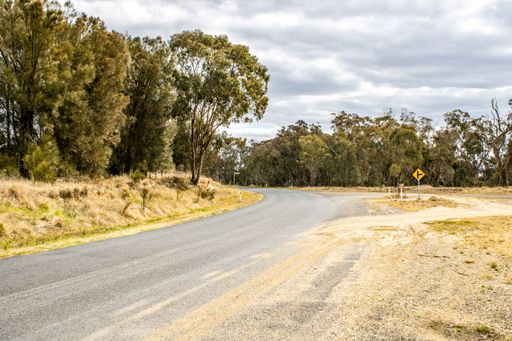 A view of a country road near Emmaville, in New South Wales, Australia, surrounded by trees