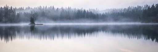 A panoramic shot of the sea reflecting the trees on the shore with a foggy background - great for a blog or background