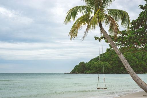 Swing hanging on a Palm Tree reaching out to the Sea at Sao Beac