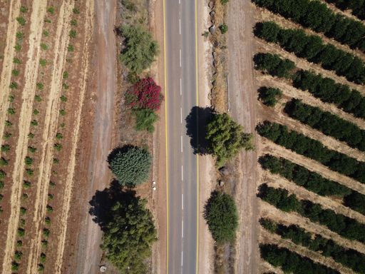 An aerial view of a road surrounded by agricultural lands and trees