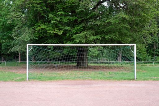 A soccer goal in the park with lush trees in the background