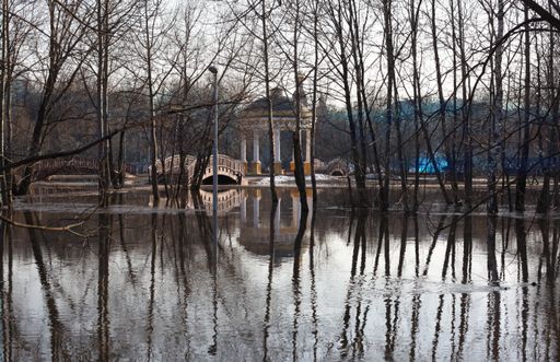 A beautiful shot of the water reflecting the leafless trees with a bridge in the distance un Russia