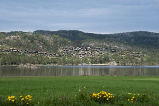 Wonderful landscapes in Norway. Vestland. Wooden cabins with grass on the roof, reflecting in the lake in a sunny summer day. Yellow flowers.