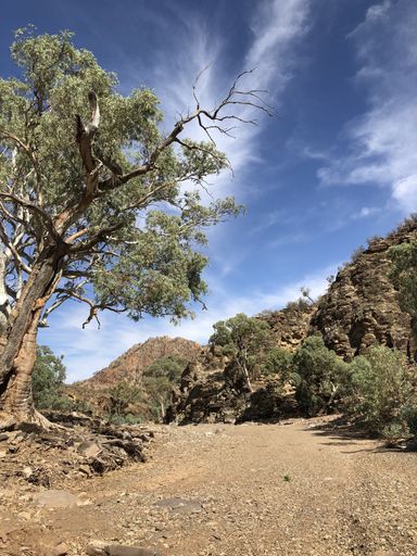 A vertical shot of a pathway near mountains and trees under a blue sky at daytime