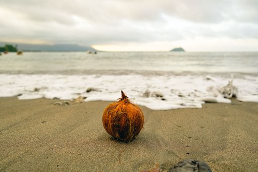 A closeup shot of a coconut on the beach against the sea and the cloudy sky