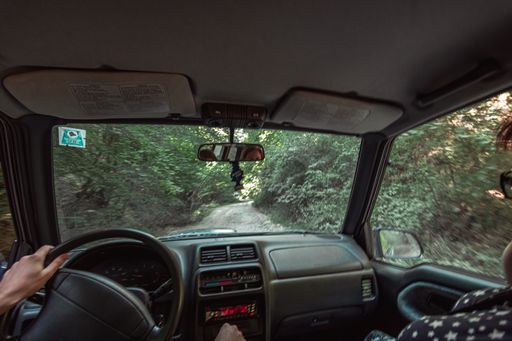 A motion blurred shot of a car driving in the middle of the woods taken from the inside