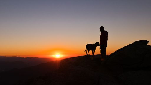 The silhouettes of a dog and the owner enjoying a walk in the mountains under the last rays of sunlight