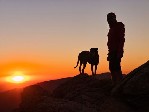 The silhouettes of a dog and the owner enjoying a walk in the mountains under the last rays of sunlight