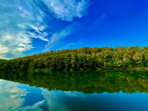 A beautiful landscape of a lush green forest  and the cloudy sky reflected in calm lake waters