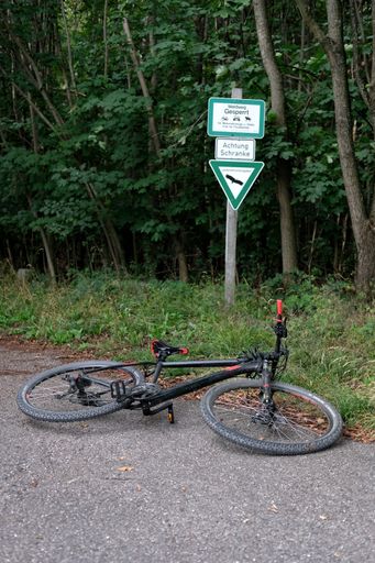 A vertical shot of a bicycle on the ground in a forest in Germany