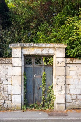 Weathered iron gate with Ivy growing through, portrait view. High quality photo
